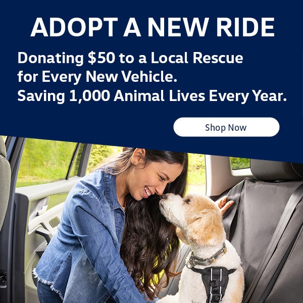 adopt